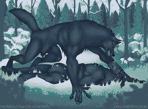 &quot;Winter Conflict&quot;, 2024